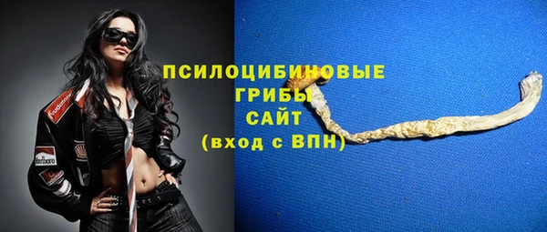 трава Балахна