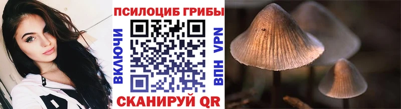 Галлюциногенные грибы прущие грибы  Заозёрск 