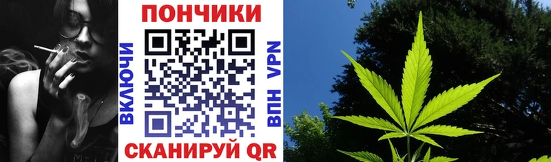Бошки Шишки Bruce Banner  Заозёрск 